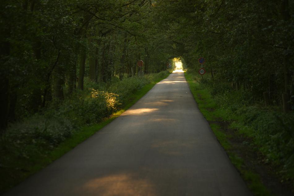 Road Guidance