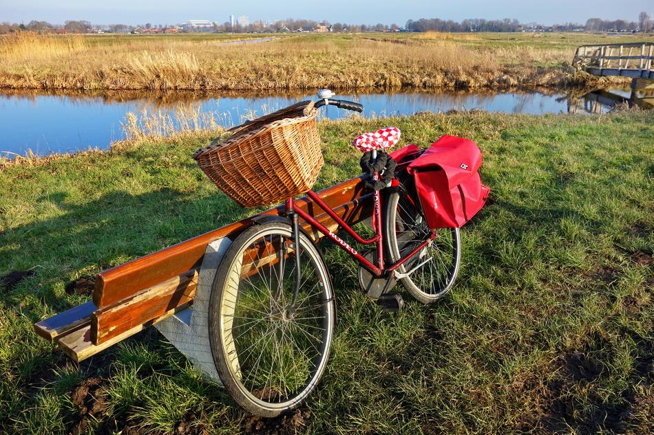 a bicycle with a basket is parked by a bench by the pond