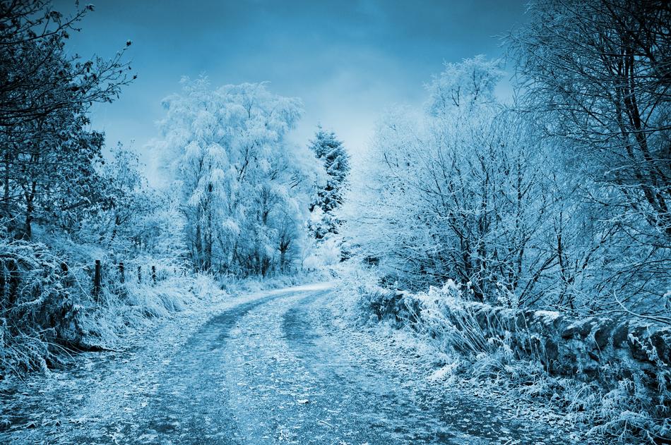 wonderful Winter Frost