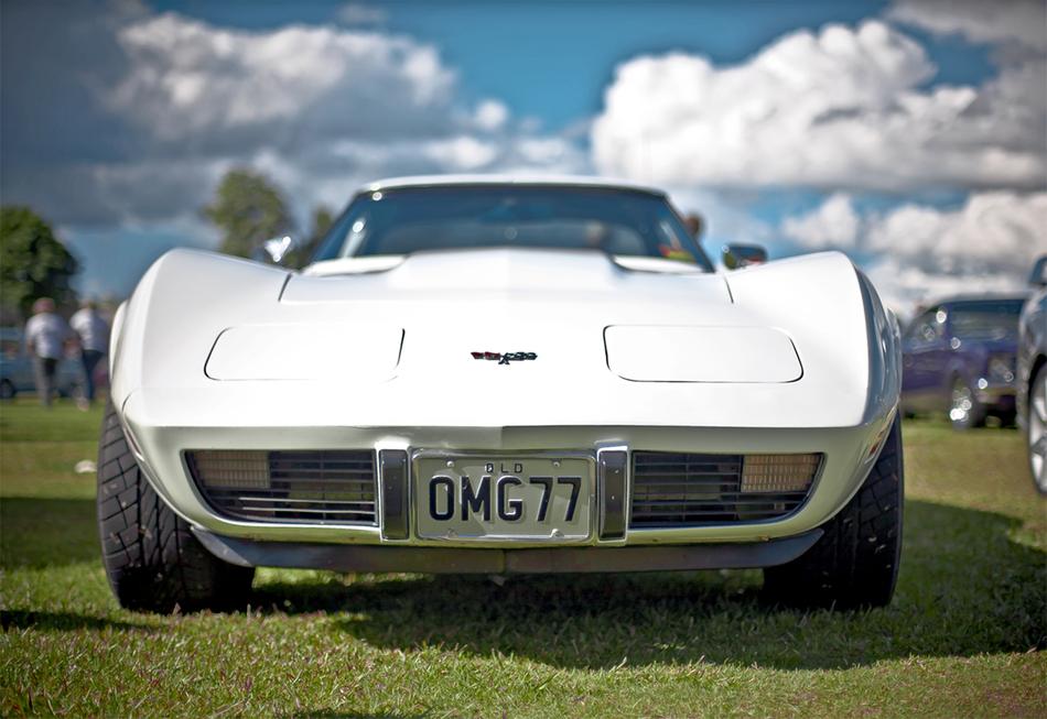 Corvette, white Racing Car on lawn