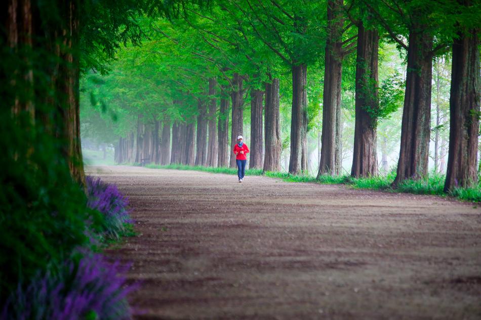 person jogging on path beneath trees