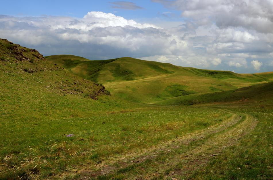wonderful Road Mountains