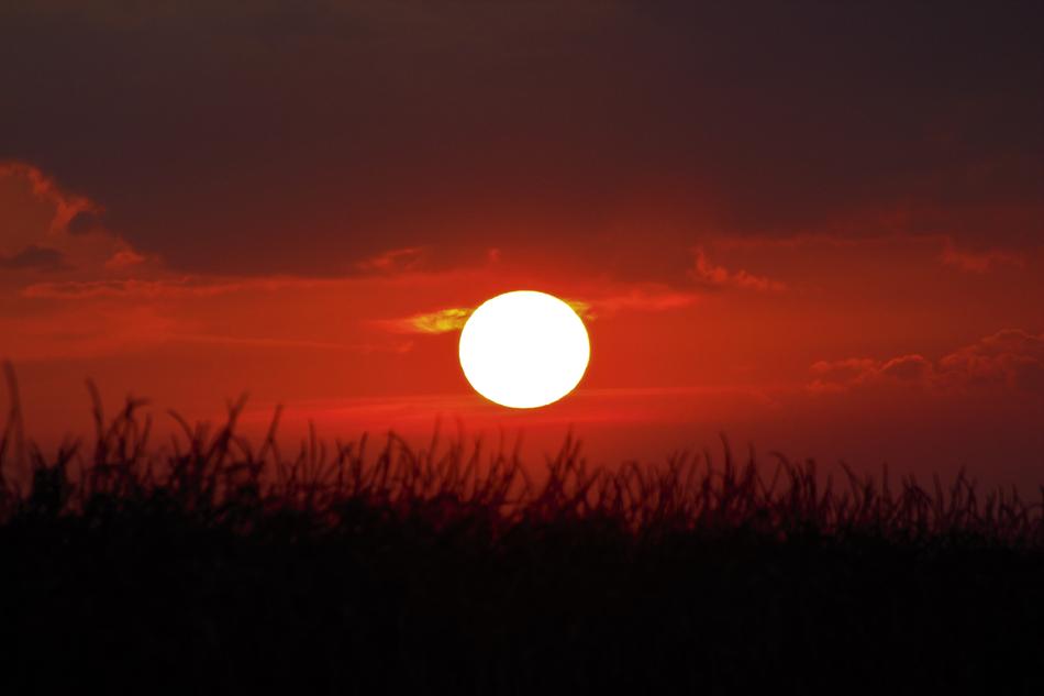 Beautiful red gradient sunrise above the field in summer