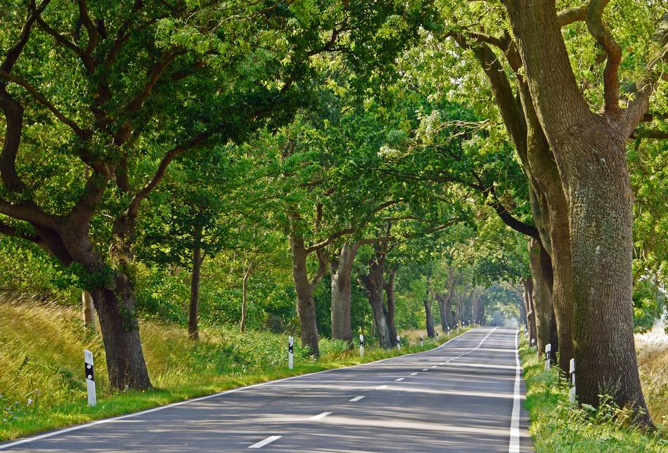 Rügen Avenue