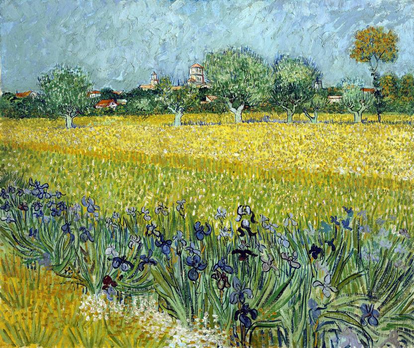 field with flowers and trees