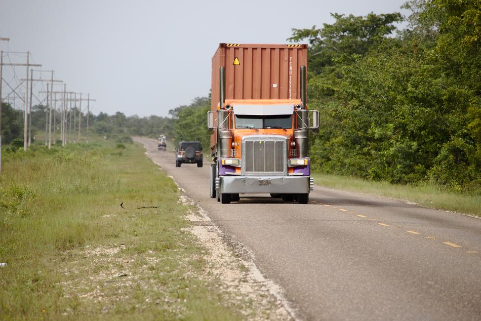 Truck on the road among the plants