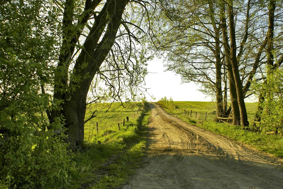 Way Fields Peace