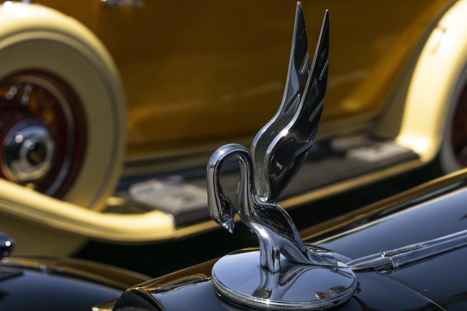 Packard Convertible Cabriolet