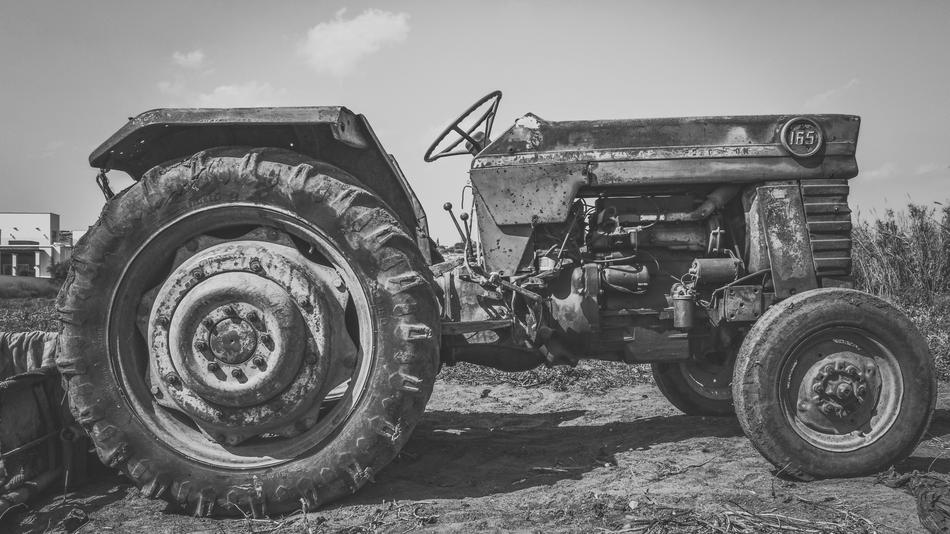 Black and white photo of the rusty tractor among the plants