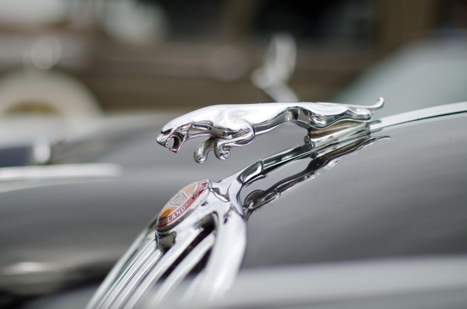 silver Figure on auto close-up