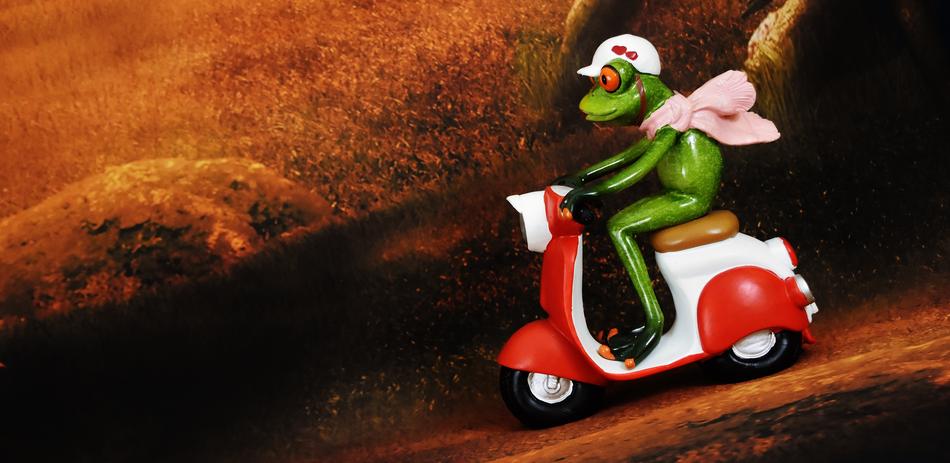 Frog on Vespa as a Figure