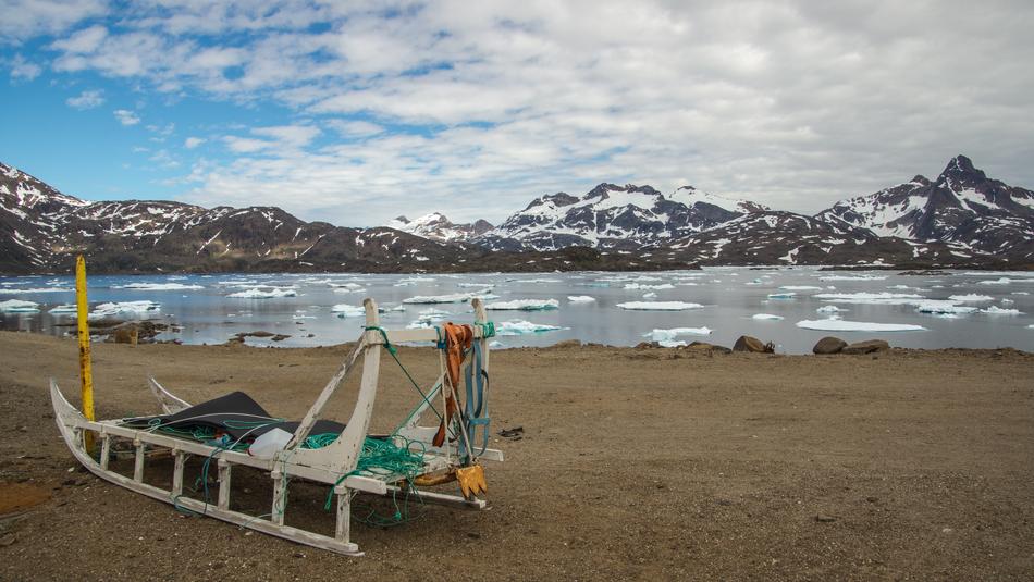 Sled Dog sea