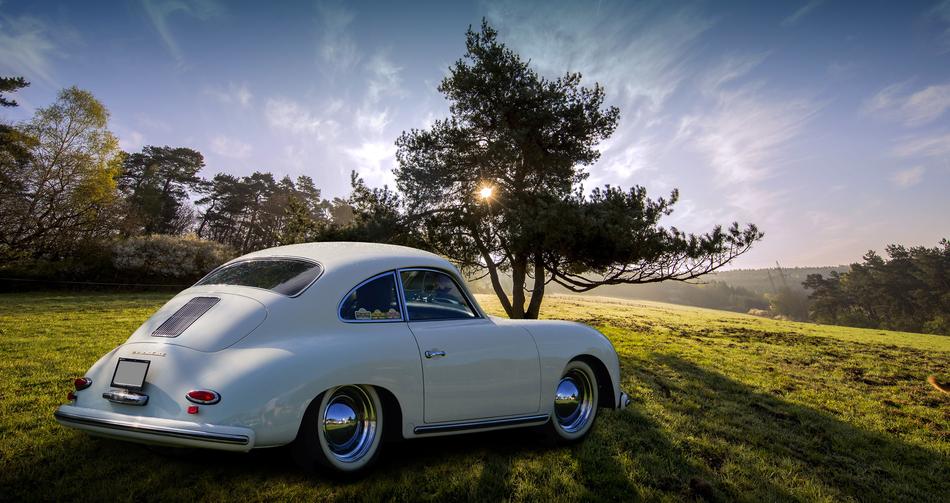 Old Auto and tree