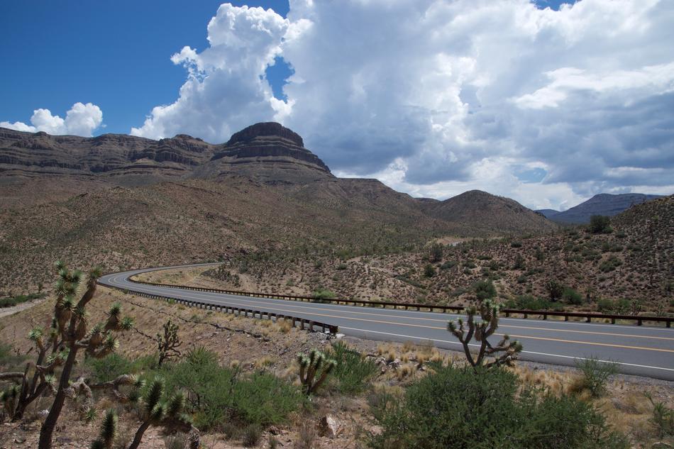 Beautiful landscape with the road among the desert with plants
