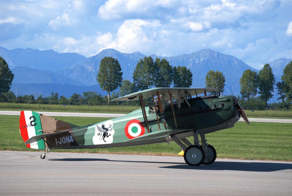Colorful biplane among the plants in the landscape