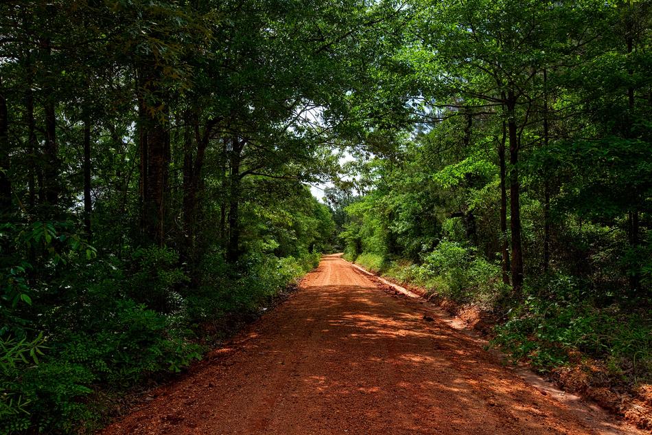 Alabama Dirt Road