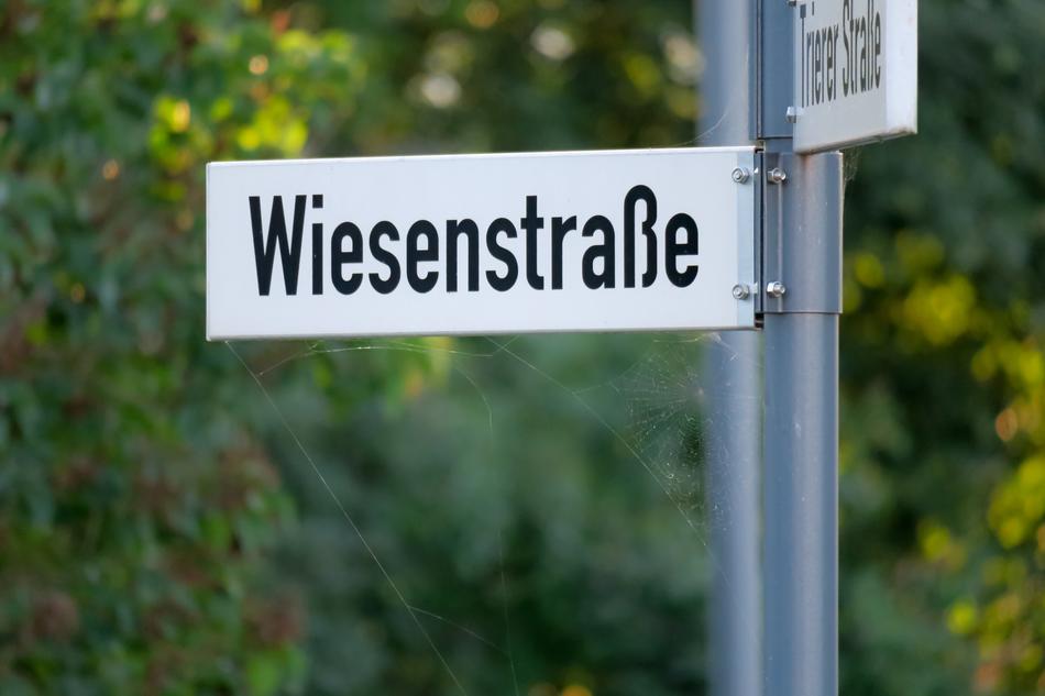 White and black street signs on the pole, among the colorful plants