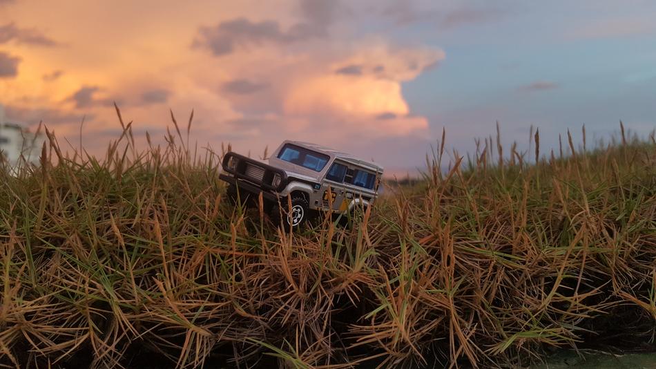 Toys Hotwheels Car dry grass