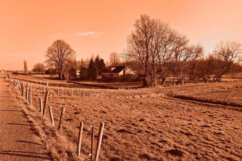 Beautiful meadow with the fence, among the trees, in pink and red colors, in Netherlands