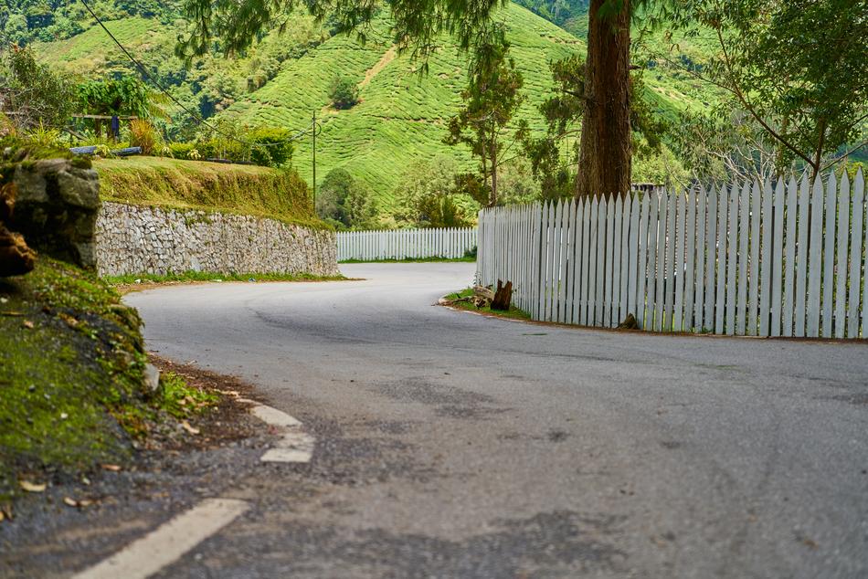 Beautiful, winding road with the fence, among the colorful plants