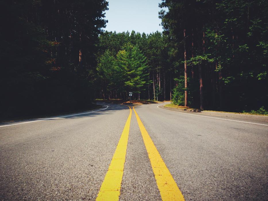 yellow median strip on the highway among the trees