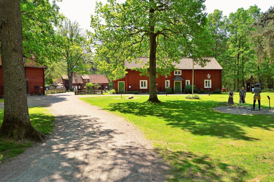 Beautiful Apladalen in VÃ¤rnamo, Sweden, among the green and yellow plants, in light