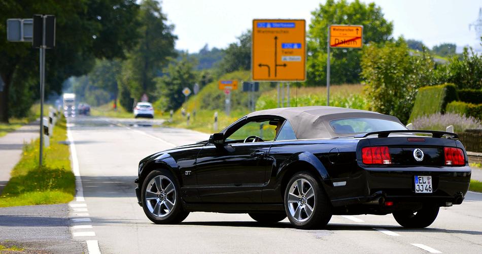 Beautiful, black Ford Mustang car on the road, among the colorful plants