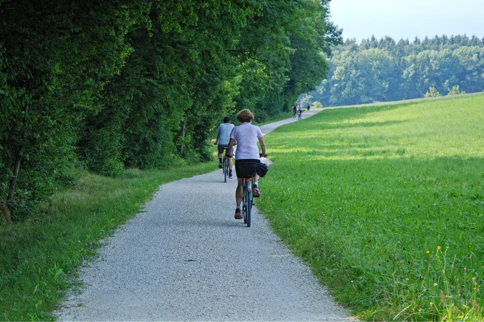 cyclists on the path along the green field