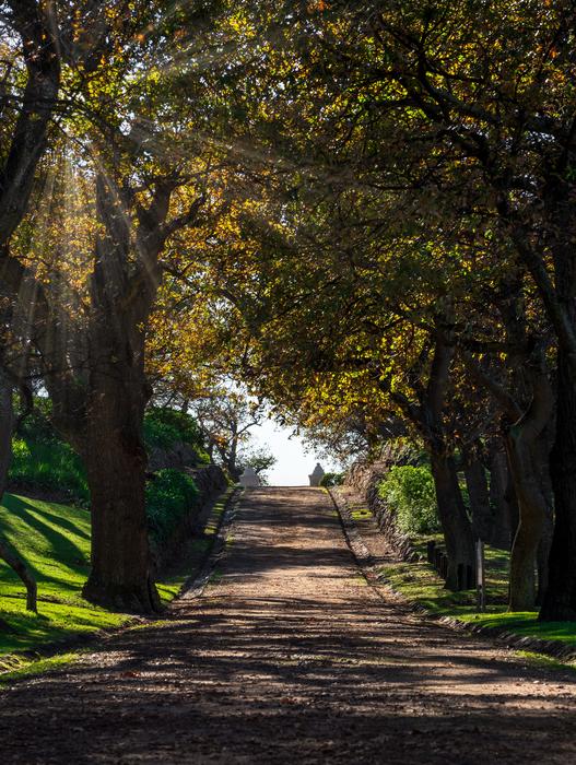 landscape of Driveway Entrance