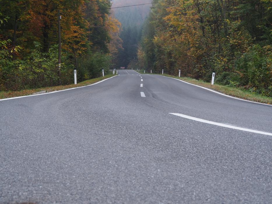Road Speed forest