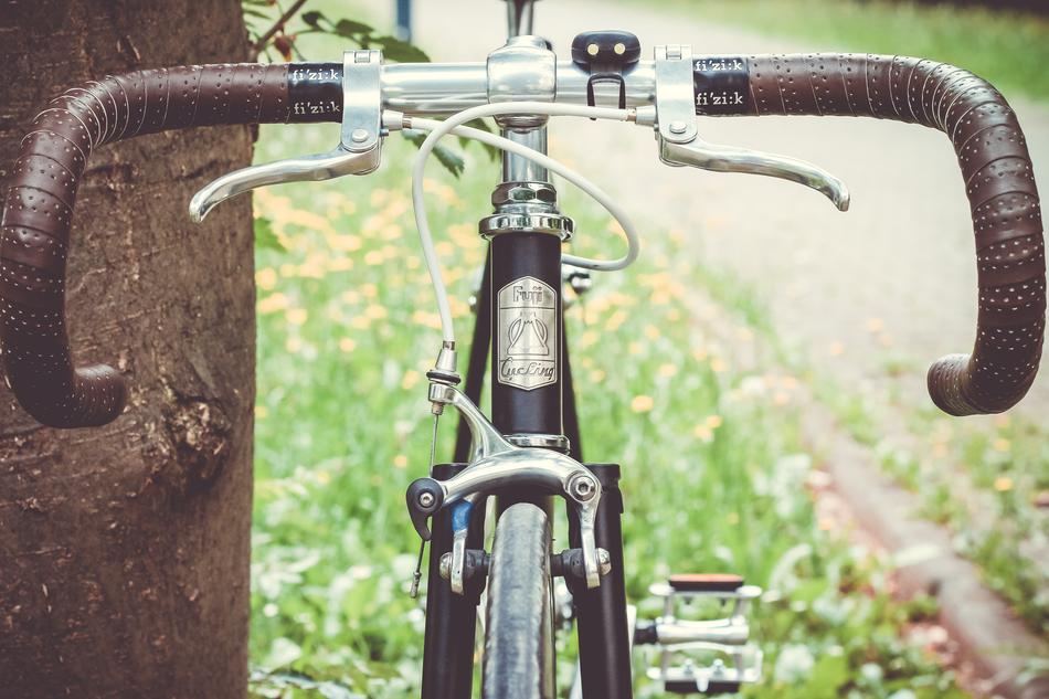 Bicycle garden
