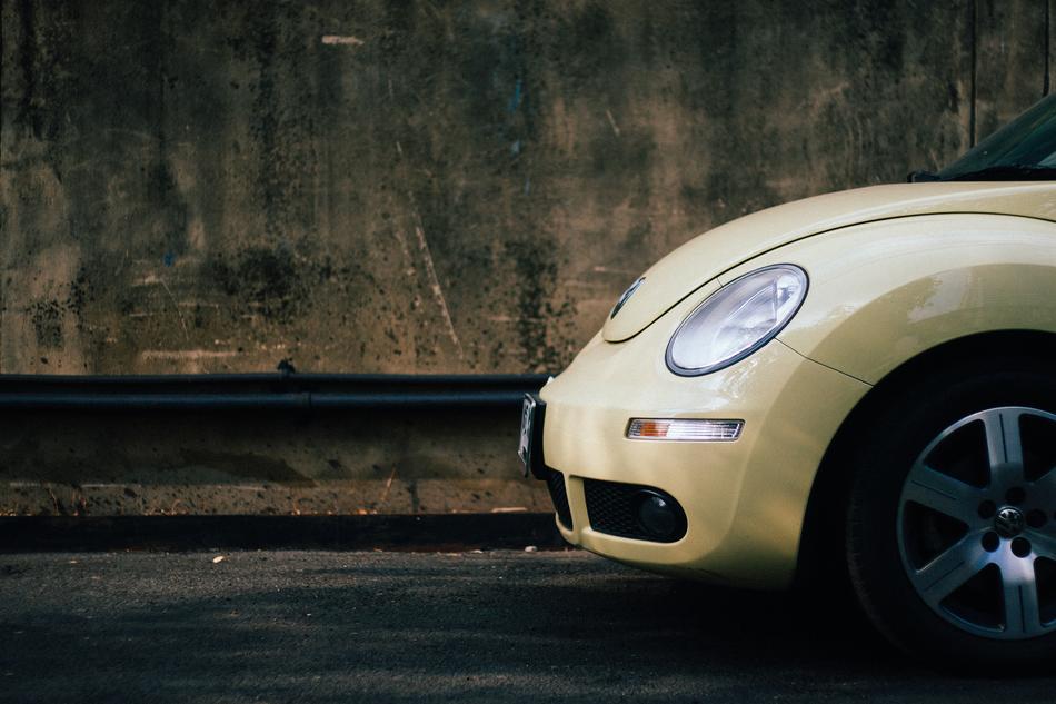 Asphalt Beetle white