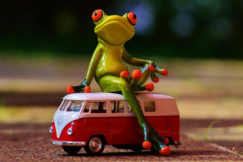 Cute and beautiful, green and yellow frog on the red and white VW bus