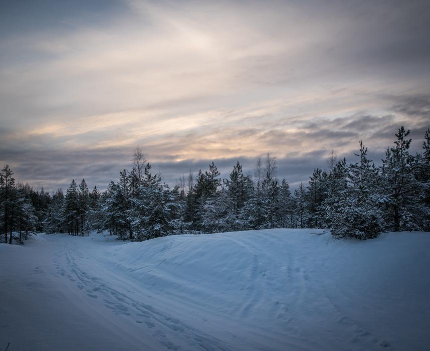 landscape of Coldly Snow Winter
