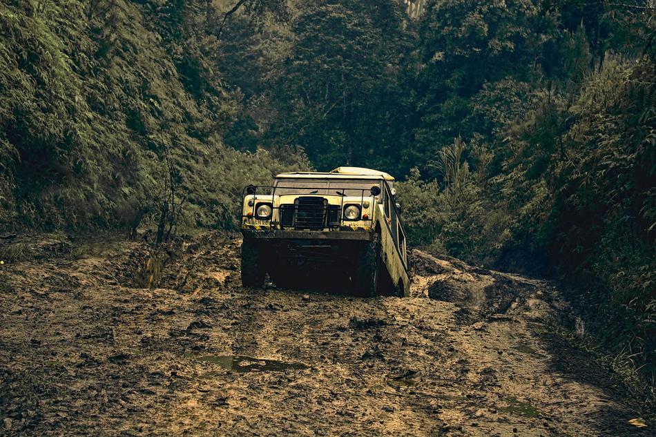 jeep in nature