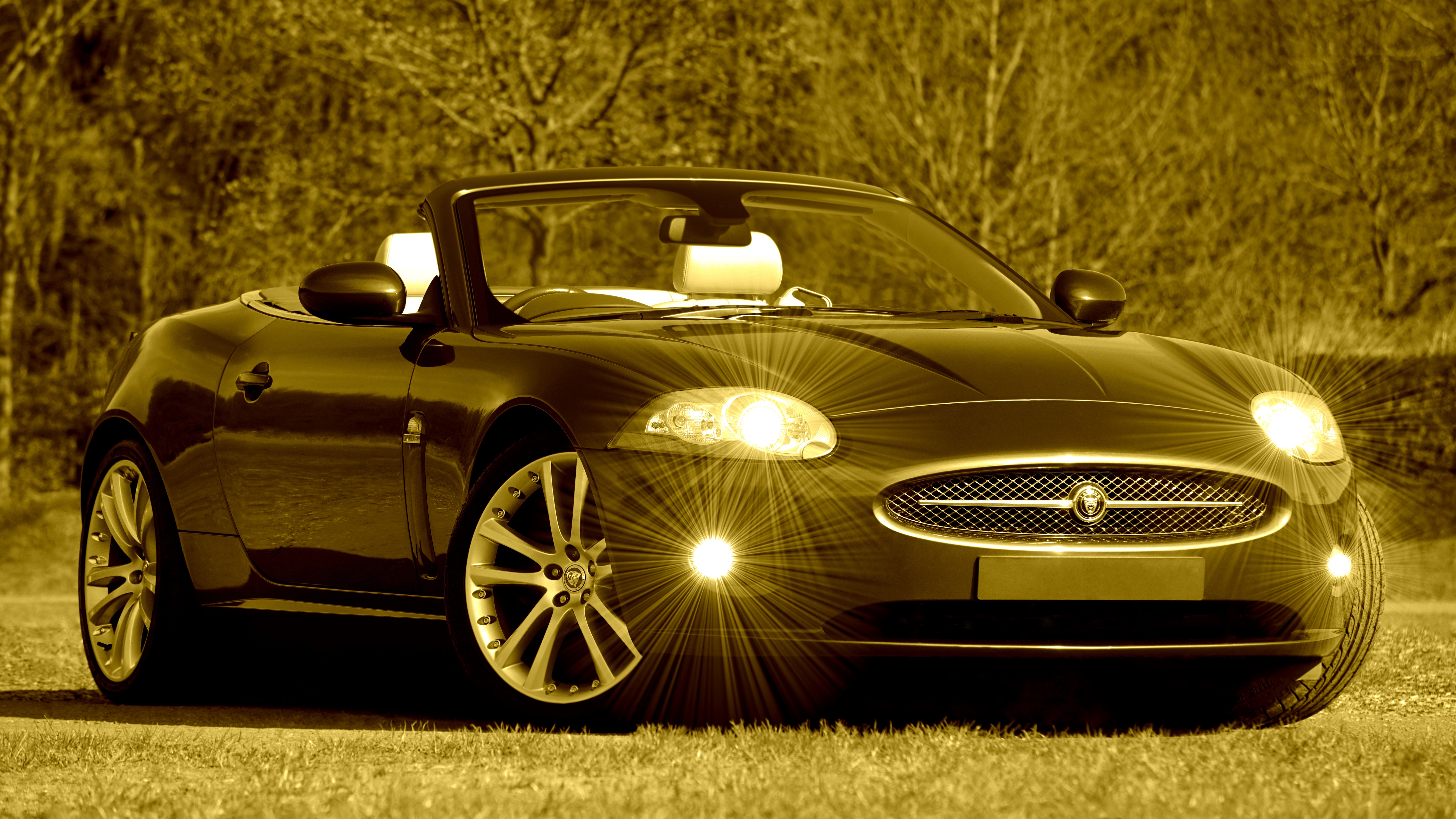 Автомобиль см. Aston Martin db9. Aston Martin db9 Black. Астон Мартин и Ягуар. Aston Martin DB И Jaguar XK.