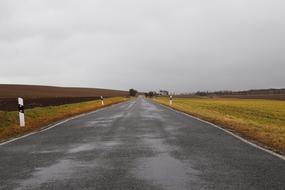 Road Asphalt in a desolate winter landscape