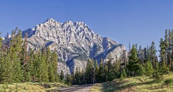 Highway Mountain Road and green trees