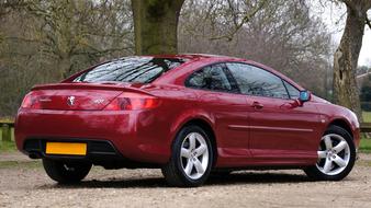 Car red forest