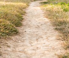 Path Dusty Road
