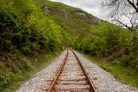 Rail Railroad and green bushes