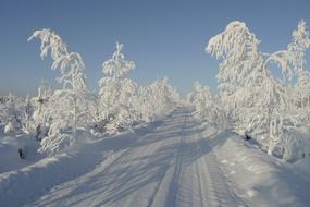 Winter Sun Cold snow road