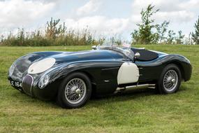 Beautiful, shiny, vintage, black and white "Jaguar" C type car, among the beautiful and colorful plants
