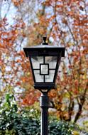 Beautiful, black lamp, among the colorful plants