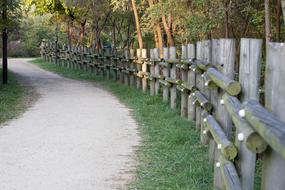 wood fence along the forest road