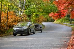 car on the road among autumn trees