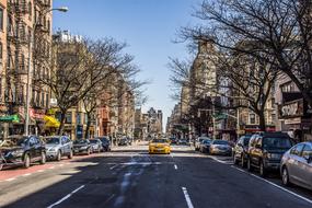 Beautiful and colorful street in New York, USA, with the cars, among the trees and buildings