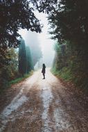 distant view of a man on a wet road in the forest