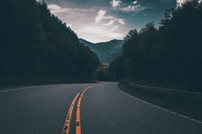 Road Street Dark forest