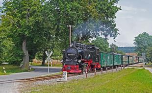 train on railroad Rasender Roland